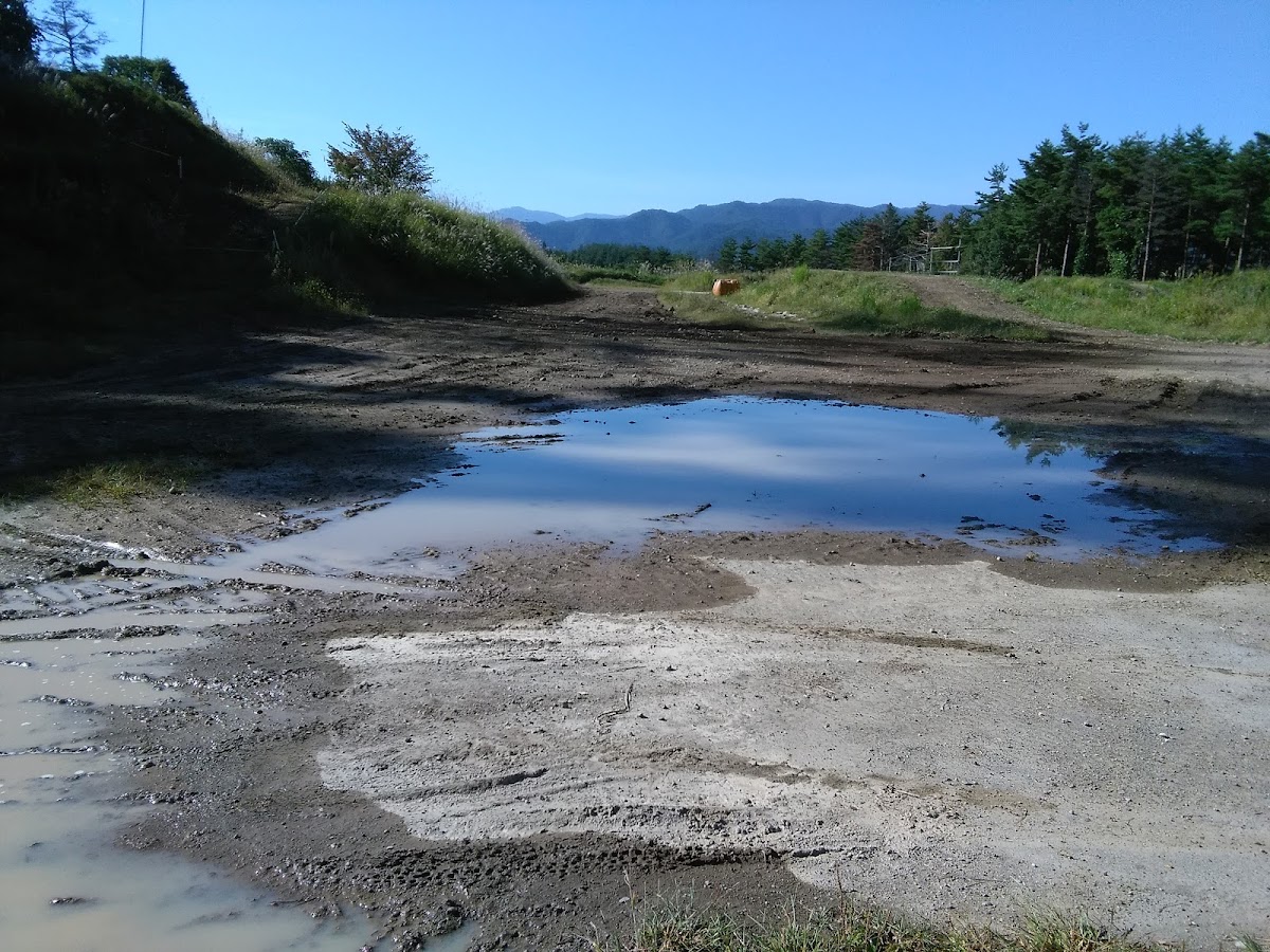 Shinshu Nagawa no Mori