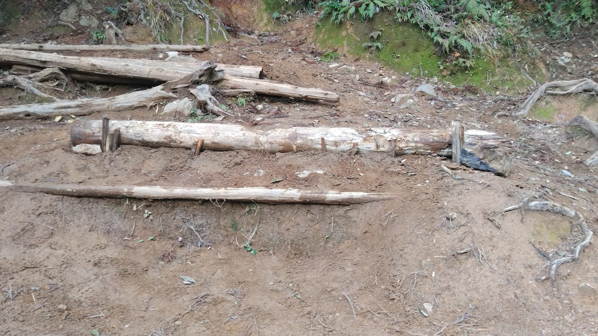 Land Sports Minami Osaka