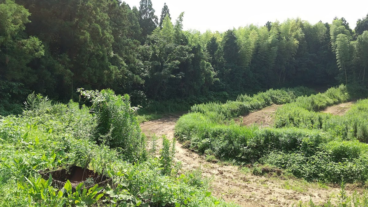 杵築オフロード村