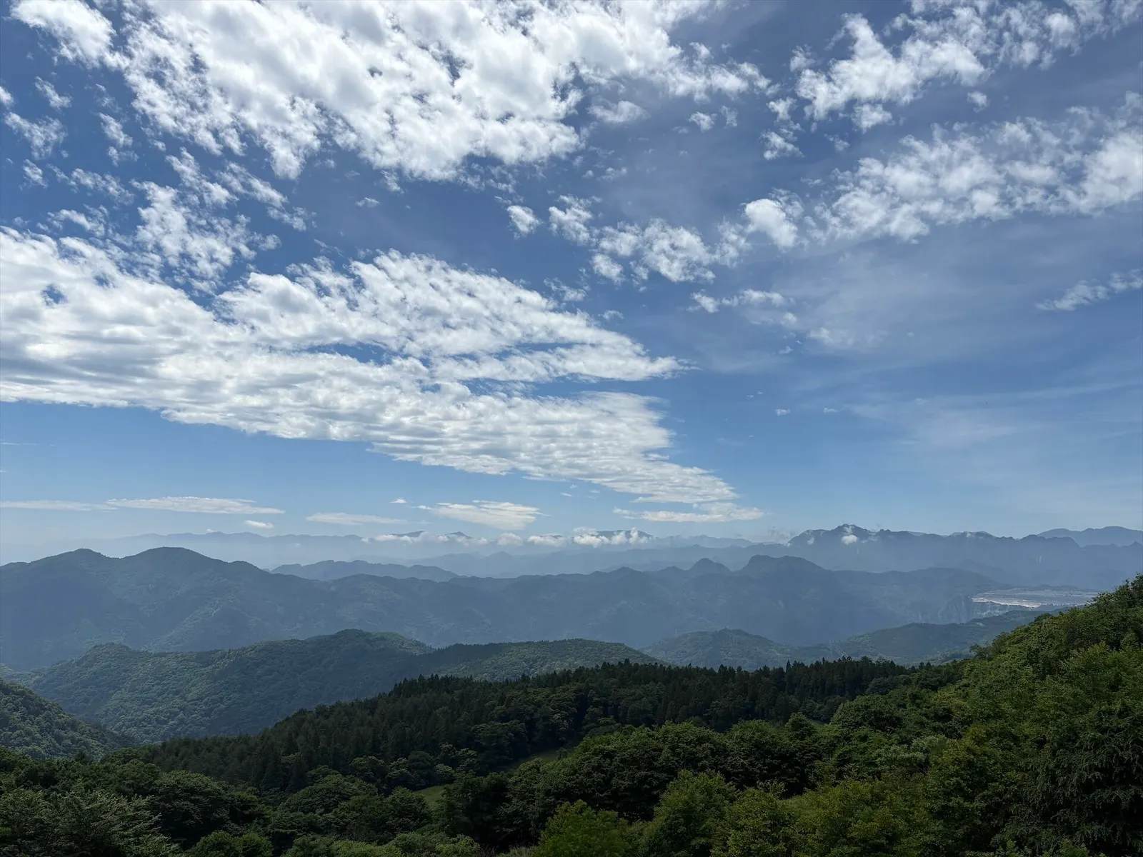 御荷鉾スーパー林道