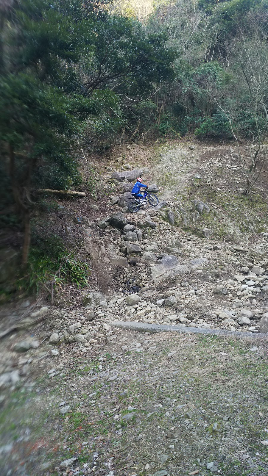 Ibino no Mori Trial Park