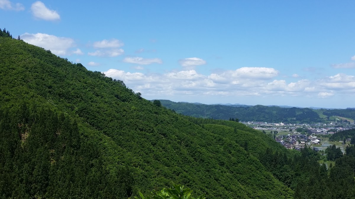 魚沼市干溝 トライアル場